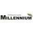 Millennium (23)